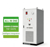 Armadio di Accumulo Energetico Commerciale LiFePO4 da 261kWh 100kW IP54 per Emergenze Industriali e Commerciali