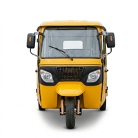 Scooter de mobilité fermé 6 places, Tuk Tuk électrique, tricycle de luxe à trois roues, moto-taxi pour usage en station balnéaire, certifié CE