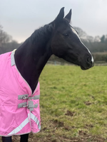 Couverture d'hiver imperméable pour cheval 1200D, couleur violette, rembourrage en polyfill 400g, doublure respirante en polyester, rabat de queue réglable