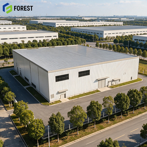 Almacén con Estructura de Acero Pesado, Edificio Industrial Prefabricado de Alta Capacidad de Carga, Diseño de Ingeniería Profesional - Product Image 1