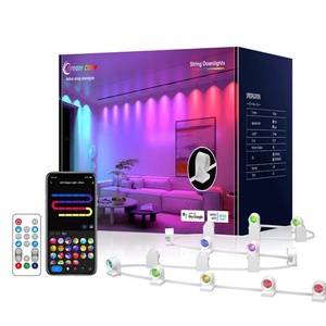Colorful Mini <b>String</b> <b>Light</b> Set IR WIFI APP Smart Indoor Decorative Other Holiday <b>String</b> Downlights Decorative LED <b>Lights</b> - Product Image 1