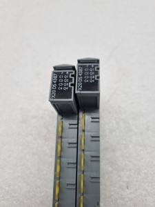 PLC X20 DS 4387 <span class=keywords><strong>2</strong></span>個セット - Product Image 2