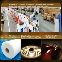Vente directe d'usine, bande néon en silicone 24V 12V IP67 étanche, lettres lumineuses DIY, bande lumineuse LED, néons, extérieur