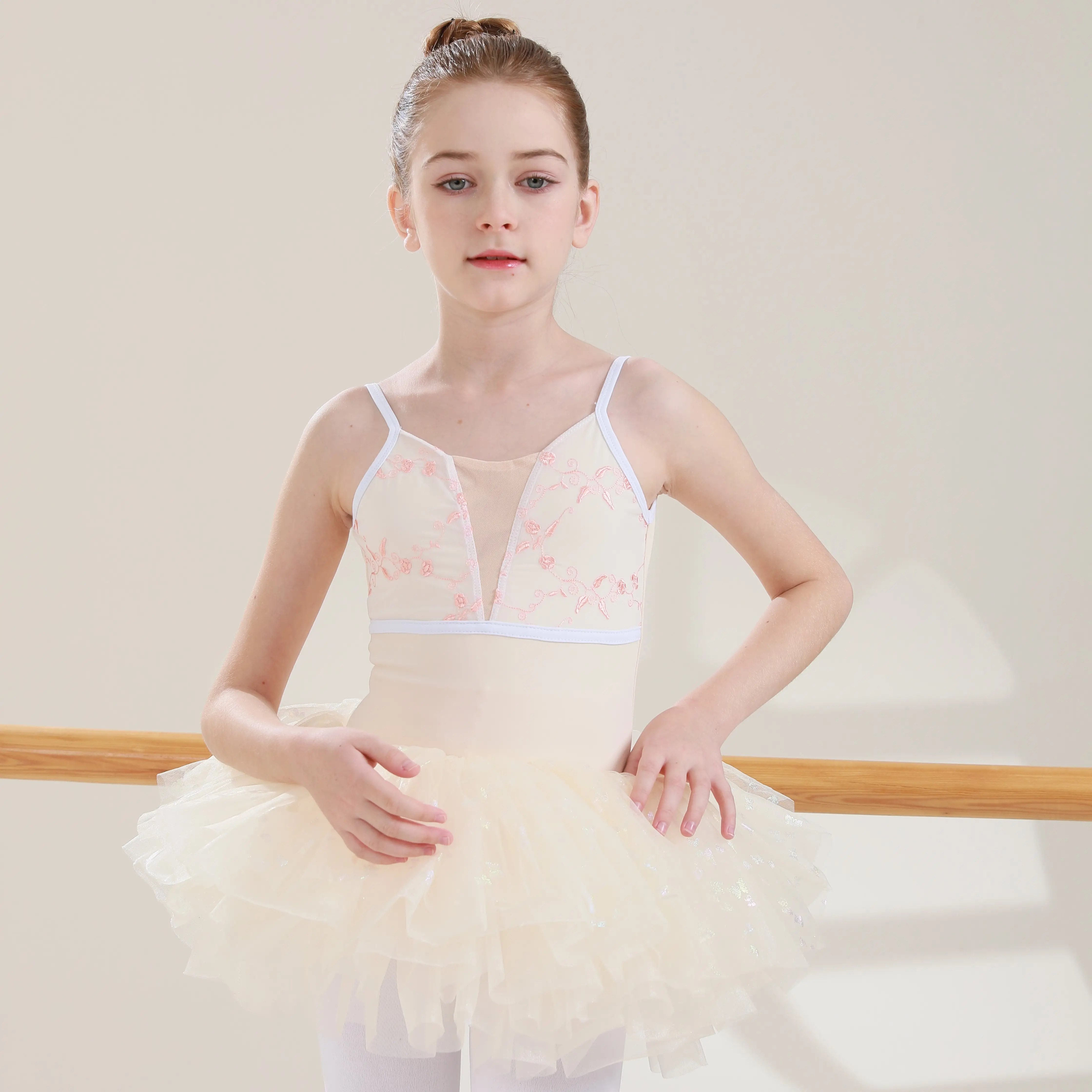 Vente en gros de vêtements de danse en maille brodée populaires, robe tutu de ballet pour filles