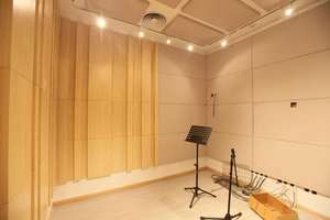 Difusor de sonido Piano Room Project Reducción de ruido Trampas de bajos acústicos - Product Image 3