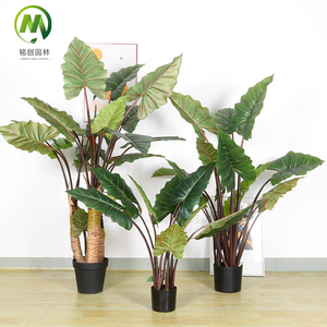 Plantas Verdes de Simulación, Bonsái Artificial, Plantas en Maceta, Árbol de Taro Arcoíris para Decoración de Hogar, Oficina, Centro Comercial y Tienda - Product Image 1