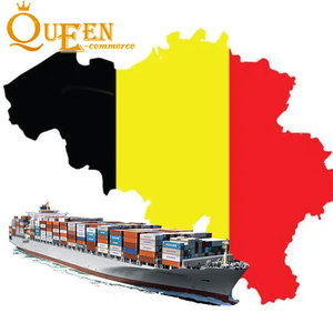 Transporte Aéreo/Ferroviario/Marítimo DDP a Europa, Bélgica, Incluye Despacho <span class=keywords><strong>de</strong></span> Aduanas por <span class=keywords><strong>Ups</strong></span>, Dhl, Dpd, Envío Exprés, Costo <span class=keywords><strong>de</strong></span> Transporte - Product Image 3