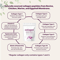 Poudre de peptides multi-collagène sans saveur, Keto, sans OGM, enrichie en vitamine C et acide hyaluronique, suppléments pour adultes pour la santé des cheveux, marque privée OEM