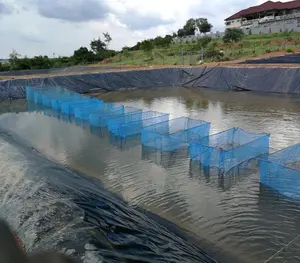 Chinese high strength 10 years life 100% HDPE floating hapa fish net cage aquaculture tilapia fingerling fry fish farming cage