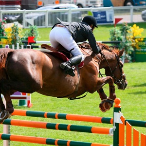 China Aochi Factory Durable Other Horse Products Equestrian Equipment Horse Jumping Poles Horse <strong>Show</strong> <strong>Jumps</strong> - Product Image 6