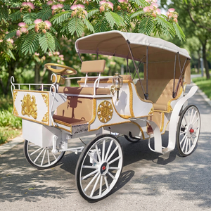 Nouvelle calèche électrique de mariage pour le tourisme, chariot de chevaux à vendre - Product Image 1
