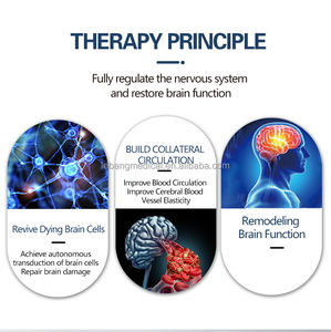 Système de thérapie RTMS médical de qualité hospitalière avec bobine TMS profonde pour la réadaptation neurologique et la thérapie neurologique - Product Image 4