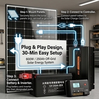 Kit solaire Plug-and-Play 600W avec batterie gel 250Ah et panneau solaire mobile pour activités de plein air et voyages