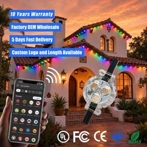 Wholesale Smart Wifi Controller IP68 Waterproof Outdoor Christmas Holiday Lighting 12V 24V 36V Rgbw Track Pixel <b>Point</b> <b>Lights</b> - Product Image 1