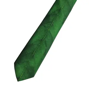 全球回收标准定制100% 超细纤维数码印花领带翠绿色领结叶紧身领带叶图案