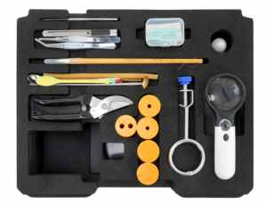 Sinh Học Trung Học Sinh Học Màu Xanh Lá Cây Thực Vật Trong Sinh Quyển Thí Nghiệm Kit Khoa Học Thí Nghiệm Cho Trẻ Em - Product Image 5