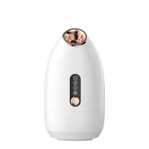 Vaporizador Facial Iónico Frío/Caliente Nano para Limpieza Profunda de Senos Nasales, Puntos Negros y Acné, Sauna Spa Eléctrica Personalizada para el Hogar - Product Image 1