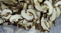 Gefreeze-droogde shiitake-paddenstoelen in blokjes, kant-en-klaar