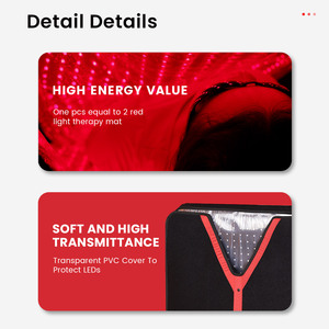 IDEATHERAPY Best Price Full Body Infrared Light Led Mat Sleeping Bag with Multi-Function Red Light Therapy Bed for Home Use