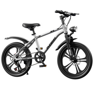 Bicicleta Phoenix para niños de 18 a 20 pulgadas con horquilla de aluminio y freno para niñas de 6 a 15 años - Product Image 4
