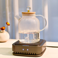 Théière multifonctionnelle en verre borosilicate pour le thé et le café, bouilloire écologique de style américain pour le bien-être, infuseur à fruits
