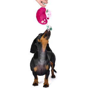 Stokta doldurma ücretsiz mantar köpek peluş oyuncak Squeaker doğal kenevir halat köpek yavru oyuncaklar küçük köpekler için - Product Image 4