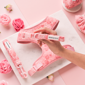 Ensemble Harnais et Collier pour Chien et Chat Personnalisé de Luxe en Polyester Réglable Anti-Traction, Nouvelle Collection, Vente en Gros, Fabrication sur Mesure - Product Image 4