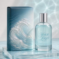 Flacon de parfum en verre à épaule ronde avec logo personnalisé, bouchon en métal argenté, 100 ml, parfum personnalisé, OEM ODM, vente en gros, unisexe