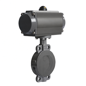 Actionneur pneumatique COVNA en fonte ductile, vanne papillon à garniture en fluor, siège en PTFE, étanchéité, AC220V DN50 - Product Image 2