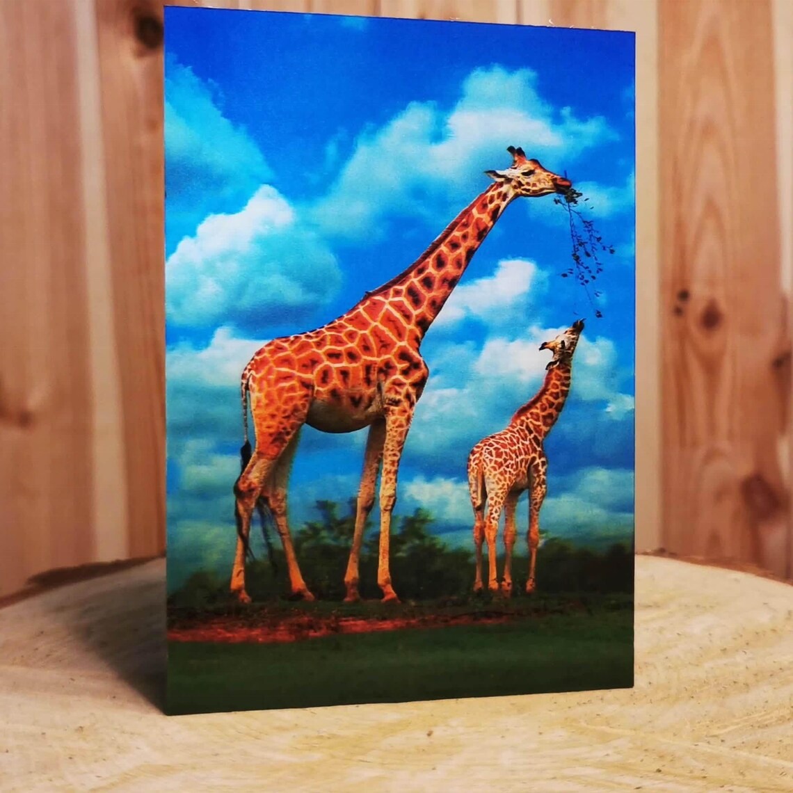 lenticular projector screen