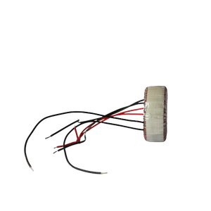 Ac Để DC 1000VA Đầu Vào 110V 220V 230V Đầu Ra 12V 24V 36V 48V Biến Áp Hình Xuyến Cho Khuếch Đại Âm Thanh - Product Image 2