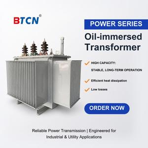 Transformateur triphasé immergé dans l'huile 10 kV vers 400 V S22-M-125 Dyn11, refroidissement en cuivre pur pour réseau électrique urbain S22-M-125/10-0.4KV - Product Image 1