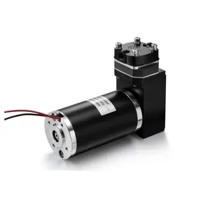 Fluidsmart ARP12DC12 pompa a micro pistoni ad alta pressione da 12 volt cina 12 v dc pompe e compressori per vuoto a pistone oscillante