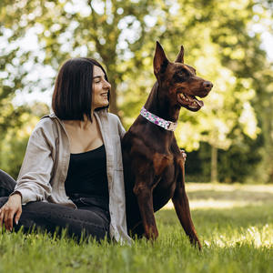 Nueva llegada de moda de impresión de la flor de la mascota collares para perros correas Funky ajustable estampado floral collares correas - Product Image 2