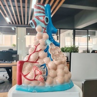 Modelo Anatómico de Alvéolo Pulmonar de PVC Duradero DARHMMY, Modelo de Anatomía Humana Ampliada para Enseñanza Escolar, Modelo de Ciencia Médica de Tamaño Más Grande