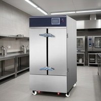 Armoire vapeur électrique sur pied, intelligente, à levage automatique, capacité 100 plateaux/heure, efficacité énergétique A++, garantie 1 an