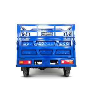 Tricycle agricole à moteur essence 350cc, <span class=keywords><strong>scooter</strong></span> cargo à <span class=keywords><strong>3</strong></span> <span class=keywords><strong>roues</strong></span>, tricycles Rized pour le transport de marchandises - Product Image 6