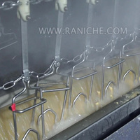 Machine de traitement des poulet gelées, Machine d'abattoir