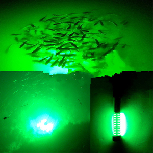 Lampes LED pour poissons Attrape sous-marine Squid Hairtail Fishing Lamps Diving Sea Water Fishing Excursion Lure Green Lighting - Product Image 6