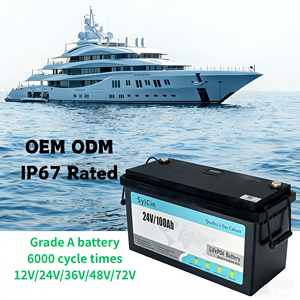 โรงงานผลิตแบตเตอรี่ LFP แบบ OEM ODM โดยตรง 12V 24V 100Ah 200Ah แบตเตอรี่แบบ Deep Cycle ชาร์จได้ พร้อมระบบ BMS - Product Image 4