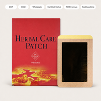 Patch Herbal Chinois Fournisseur Chaud 10 Pièces/Boîte Formule Traditionnelle Certifiée ISO Vitamine E Apaisant Hydratant pour Cou et Épaules
