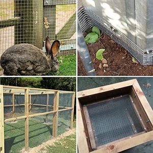 Maille de fil galvanisé après soudage, calibre 16, NON rouillée, maille de fil soudé électro-galvanisé en rouleau pour cage à volaille, lapin, poulet - Product Image 2