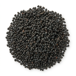 Graines de Psoralea Corylifolia (Babchi) de qualité supérieure – Graines brutes naturelles ayurvédiques pour la vente en gros et l'approvisionnement botanique - Product Image 2