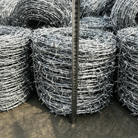 Grillage barbelé en fer recouvert de PVC, directement de l'usine, avec service d'emballage personnalisé pour les projets de sécurité des voies ferrées, des fermes et des cours arrière