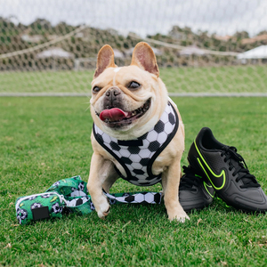 Pettorina per <span class=keywords><strong>Cani</strong></span> Senza Trazione con Motivo Pallone da Calcio e Campo da Calcio, Design con Clip Frontale per un Addestramento Sicuro e Umano - Product Image 3