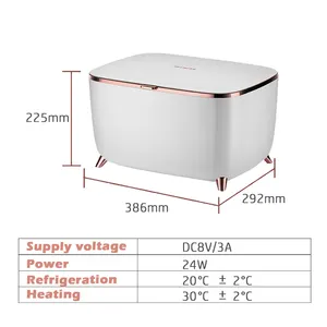9L beyaz mini buzdolabı lüks sabit sıcaklık cilt bakım ürünü depolama aracı 110v-220v stokta
