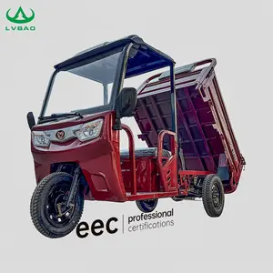 LB-BFB160 Cargo Trike Electric Motor 3 Wheel Mini Truck With Shed For Farming And Transport From Manufacturer