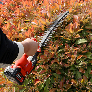 400W 21V Lithium Battery Cordless <b>Hedge</b> <b>Trimmer</b> Flower <b>Hedge</b> <b>Trimmer</b> Gardening <b>Hedge</b> <b>Trimmer</b> - Product Image 1