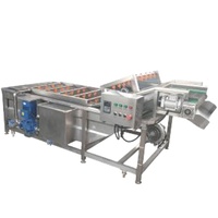 Kleine Citrus Oranje Fruit Groente Auto-Waslijn Bubble Wasmachine Voor Plantaardige Verwerkingsfabriek Motormotor Kern