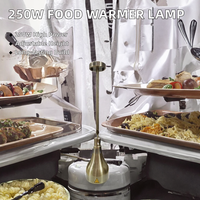 250W lampe chauffante infrarouge Flexible en acier inoxydable cuisine chauffe-aliments lumières or rouge cuivre réchauffement équipement de maintien